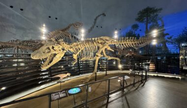 Fukui dinosaur museum