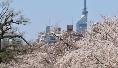 Four seasons in Fukuoka