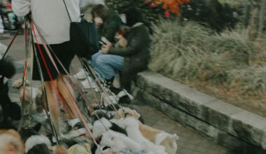 Dog walker in Shibuya