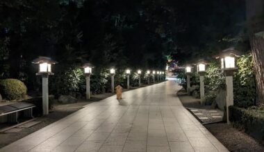 The Sando of Samukawa-jinja Shrine