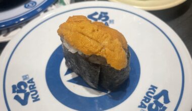 New revolving sushi bar opened in KCMO. I finally got to try uni!