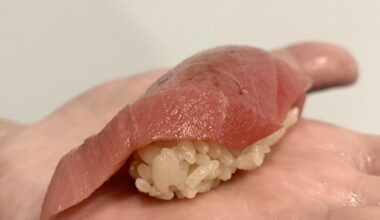 Homemade Chudoro (medium fatty tuna) nigiri with akazu(red vinegar)