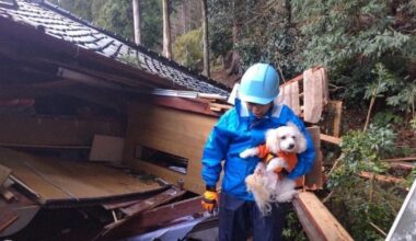 Dog saved from rubble in quake-hit Japan city as rescuers stress need for pet care