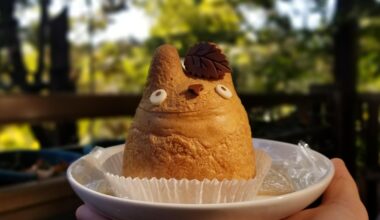 Totoro cream puff