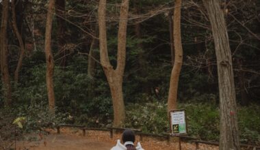scenes from Inokashira Park