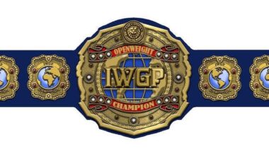 I honestly just wished they unified the Openweight titles and created an offical IWGP world Openweight championship rather than make a global heavyweight title.