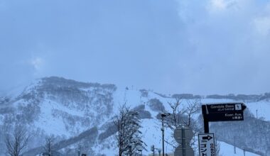 Niseko at negative 3 degrees