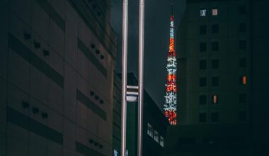 Tokyo Tower in the distance