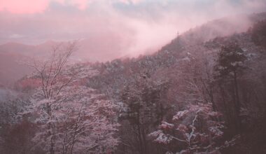 dusk peaking through the clouds in the Shiga Highlands, Nagano Prefecture