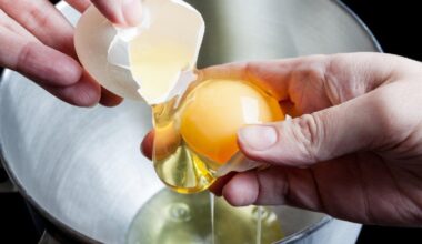 There's A Raw Egg Buffet You Can Visit In Tokyo