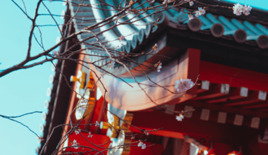 Senso Ji Asakusa Tokyo