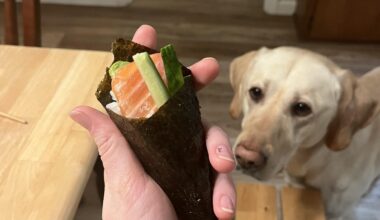 Second attempt at hand rolls, with a captive audience.