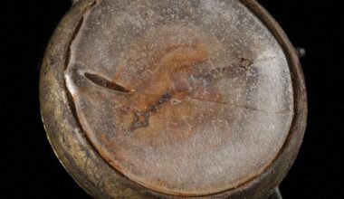 Watch that survived Hiroshima atomic bombing sells for over $31,000