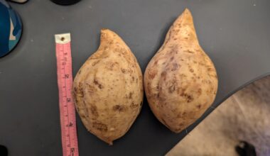 How to bake Okinawa Sweet Potatoes?