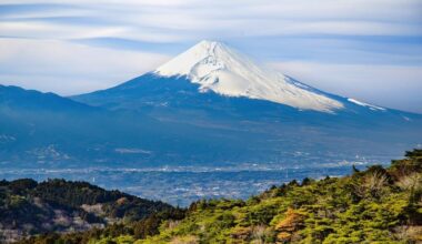 A Scenic Drive through Izu via the Izu Skyline