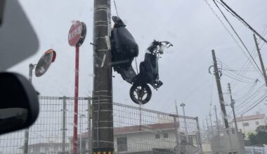 Twitter user found a scooter hanging from a telephone pole(original post on the comment)