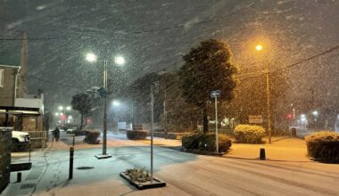 Snowing in Chiba