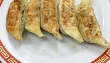 Kameido Gyoza and laojiu