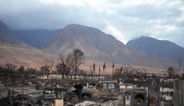 Central and local governments provide aid for Maui fire victims | The Asahi Shimbun: Breaking News, Japan News and Analysis