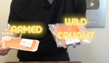 Farmed vs Wild Caught Salmon 🍣