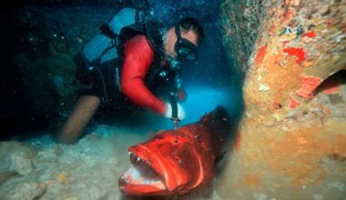 The Okinawan Sea Hunter of Yaeyama: Uminchu Saburō