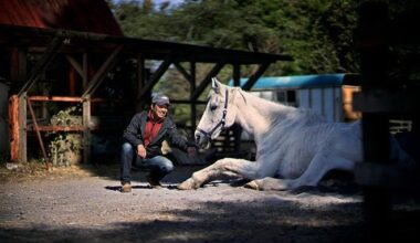 Ranch aims to save as many retired horses as possible