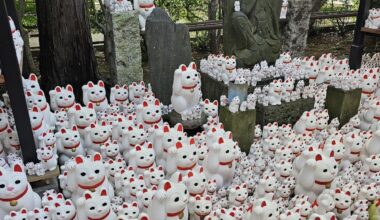 Cat Lovers: Looking for Birthday gift ideas around Tokyo