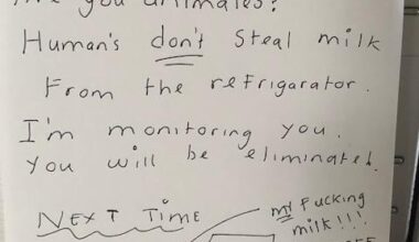 My Friend was Confromted with a Threatening Note at a Guest House in Tokyo