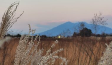 Mt. Tsukuba at twilight