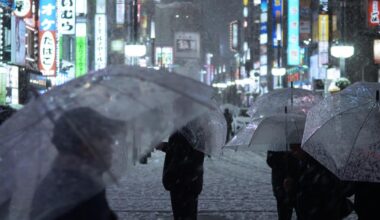 Snowfall in Kabukicho