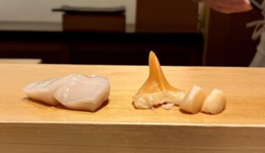 Sushi Hashimoto - Shintomi, Tokyo - February 2024