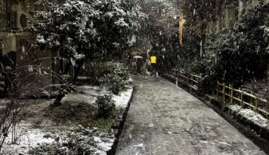 Beautiful snowy Tokyo