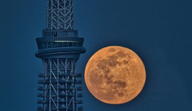 The moon rising over Tokyo Sky Tree