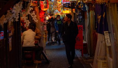 That "Secret alley" (Omoide Yokocho) in Shinjuku [OC]