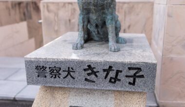 You've probably heard of Hachiko the loyal dog, but what about Kinako the determined dog? (Marugame Station in Shikoku)