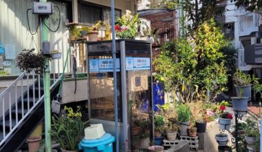 A garden that grew around a phone booth in Tokyo