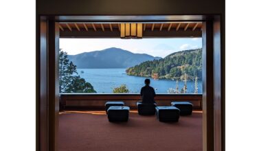 A view of Lake Ashinoko (& Mount Fuji) from Narukawa Art Museum.