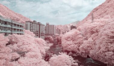 Kinugawa Onsen in Infrared