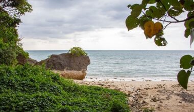 My Paradise: Uncovering Okinawa’s legends, myths