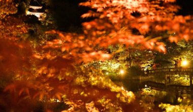 Autumn foliage illuminated at Kyoto temple prior to annual nighttime event