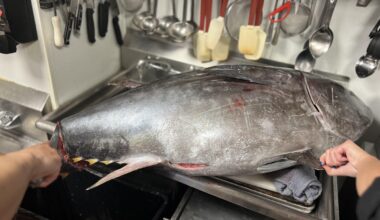 This 250lb bluefin was sush a beauty