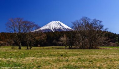 Captivating Asagiri-Kogen: A Journey to Mt. Fuji's Northwestern Flank