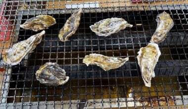 Delicious huge grilled oysters for lunch in Itoshima, Fukuoka Predecture