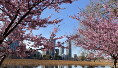 Ueno park