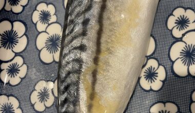 Is this saba mackerel spoiled ?