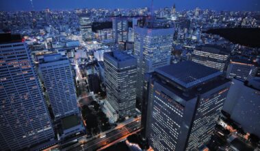 Tokyo from the Metropolitan Government Observatory