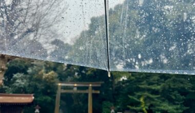 Rainy Walks In Tokyo, Under Dancing Trees And Silent Shrines. March 2024