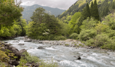 Camping by a River in Gifu Prefecture