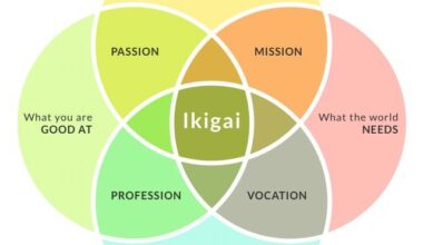 The true definition of Ikigai