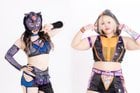 Oedo Tai's Starlight Kid & Ruaka Will Participate in FantasticaMania 2024 on February 17th, Taking on La Jarochita & Lluvia!